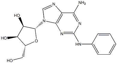 2-Phenylamino-D-adenosine Structure