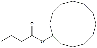 CYCLODODECYL BUTYRATE 化学構造式