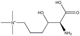 [(5S)-5-amino-5-carboxy-4-hydroxy-pentyl]-trimethyl-azanium Struktur