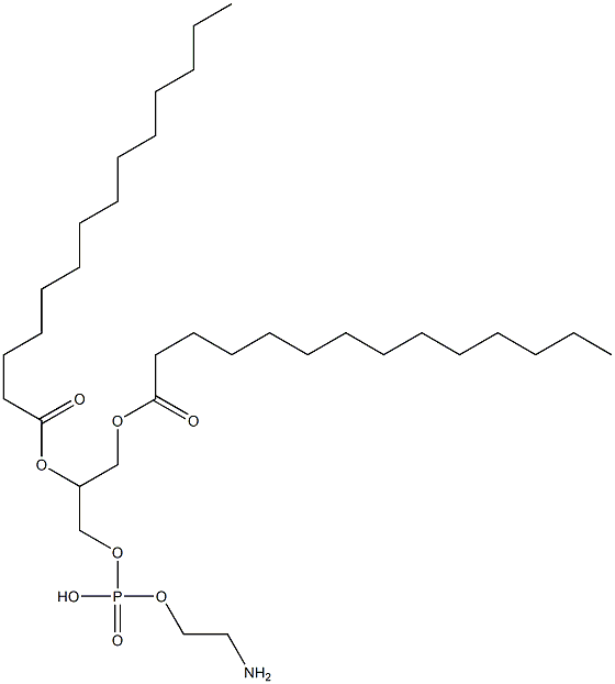 ジミリストイルホスファチジルエタノールアミン 化学構造式