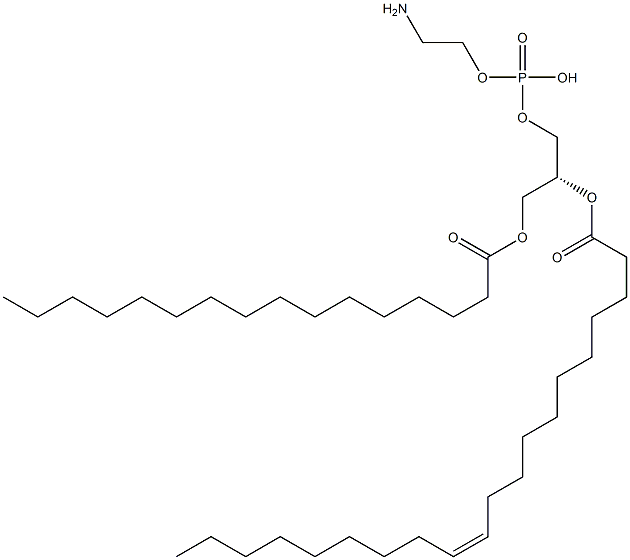 2-aminoethoxy-[(2R)-3-hexadecanoyloxy-2-[(Z)-icos-11-enoyl]oxy-propoxy]phosphinic acid,,结构式