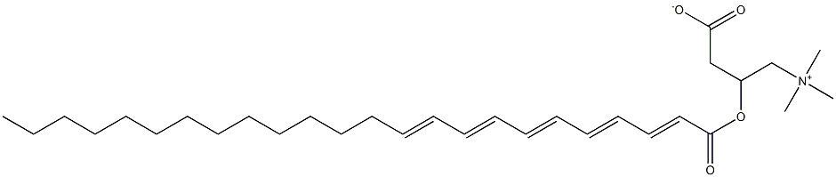 tetracosapentaenoyl carnitine Structure