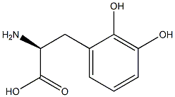 2,3-Dihydroxyphenylalanine