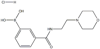 3-[(2-Morpholin-4-ylethyl)carbamoyl]benzeneboronic acid hydrochloride 98%