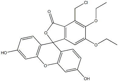 5,6-diethoxychloromethylfluorescein,,结构式
