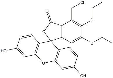 5,6-diethoxychloromethylfluorescein