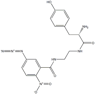 N-(tyrosyl)-N'-(5-azido-2-nitrobenzoyl)-1,2-diaminoethane