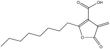 4-methylene-2-octyl-5-oxofuran-3-carboxylic acid|