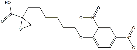 2-(6-(2,4-dinitrophenoxy)hexyl)oxirane carboxylic acid,,结构式