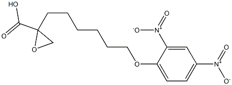  2-(6-(2,4-dinitrophenoxy)hexyl)oxirane carboxylic acid