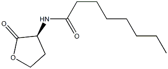 N-octanoylhomoserine lactone Structure