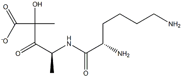 lysyl-alanyl-lactate 化学構造式