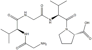  glycyl-valyl-glycyl-valyl-proline