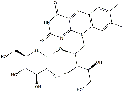 riboflavin alpha-glucoside synthesizing enzyme Structure