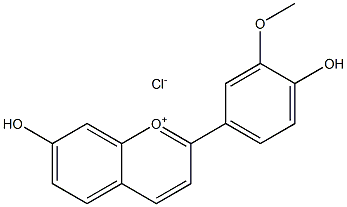 3'-METHOXY-4',7-DIHYDROXYFLAVYLIUMCHLORIDE Struktur