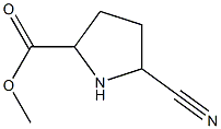 5-Cyano-pyrrolidine-2-carboxylic acid methyl ester,,结构式