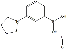 hydrochloride 3-pyrrolidinylphenyl-boronic acid 化学構造式