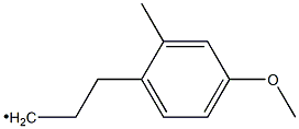 (4-Methoxy-2-methylphenyl)propyl- Struktur