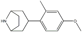 3-(4-methoxy-2-methylphenyl)-8-azabicyclo[3.2.1]octane Struktur