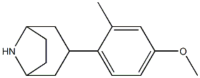 3-(4-methoxy-2-methylphenyl)-8-azabicyclo[3.2.1]octane,,结构式