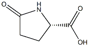 L-PYROGLUTAMIC ACID (USP-23) 结构式