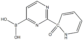 2-(1H-PYRIDIN-2-ONE)PYRIMIDINE-4-BORONIC ACID,,结构式