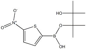 5-NITROTHIOPHENE-2-BORONIC ACID PINACOL ESTER Structure