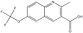 2-methyl-6-(trifluoromethoxy)quinoline-3-carboxylic acid