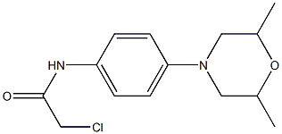  2-chloro-N-[4-(2,6-dimethylmorpholino)phenyl]acetamide