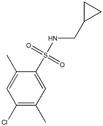 N1-cyclopropylmethyl-4-chloro-2,5-dimethylbenzene-1-sulfonamide Structure