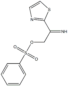 2-{[(phenylsulfonyl)oxy]ethanimidoyl}-1,3-thiazole 结构式