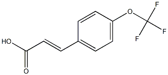 (2E)-3-[4-(trifluoromethoxy)phenyl]acrylic acid