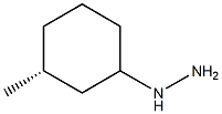 1-((3R)-3-methylcyclohexyl)hydrazine Structure