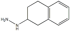 1-(1,2,3,4-tetrahydronaphthalen-2-yl)hydrazine 化学構造式