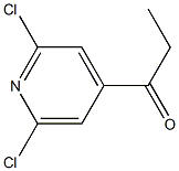 1-(2,6-dichloropyridin-4-yl)propan-1-one