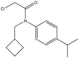 2-chloro-N-(cyclobutylmethyl)-N-(4-isopropylphenyl)acetamide