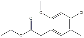 ethyl 2-(4-chloro-2-methoxy-5-methylphenyl)acetate Struktur