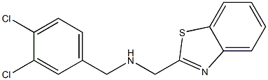 (1,3-benzothiazol-2-ylmethyl)[(3,4-dichlorophenyl)methyl]amine