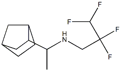 (1-{bicyclo[2.2.1]heptan-2-yl}ethyl)(2,2,3,3-tetrafluoropropyl)amine,,结构式