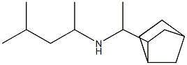 (1-{bicyclo[2.2.1]heptan-2-yl}ethyl)(4-methylpentan-2-yl)amine