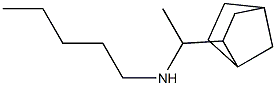 (1-{bicyclo[2.2.1]heptan-2-yl}ethyl)(pentyl)amine