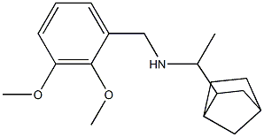 (1-{bicyclo[2.2.1]heptan-2-yl}ethyl)[(2,3-dimethoxyphenyl)methyl]amine