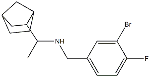(1-{bicyclo[2.2.1]heptan-2-yl}ethyl)[(3-bromo-4-fluorophenyl)methyl]amine