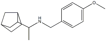 (1-{bicyclo[2.2.1]heptan-2-yl}ethyl)[(4-methoxyphenyl)methyl]amine