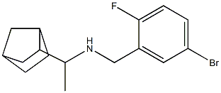 (1-{bicyclo[2.2.1]heptan-2-yl}ethyl)[(5-bromo-2-fluorophenyl)methyl]amine|