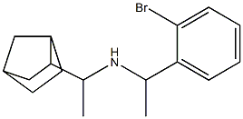 (1-{bicyclo[2.2.1]heptan-2-yl}ethyl)[1-(2-bromophenyl)ethyl]amine Struktur