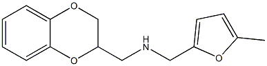 (2,3-dihydro-1,4-benzodioxin-2-ylmethyl)[(5-methylfuran-2-yl)methyl]amine Structure