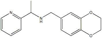 (2,3-dihydro-1,4-benzodioxin-6-ylmethyl)[1-(pyridin-2-yl)ethyl]amine