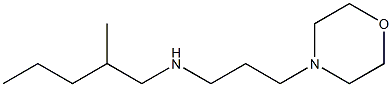 (2-methylpentyl)[3-(morpholin-4-yl)propyl]amine 化学構造式