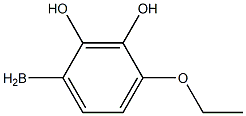 (4-ethoxyphenyl)boranediol 化学構造式